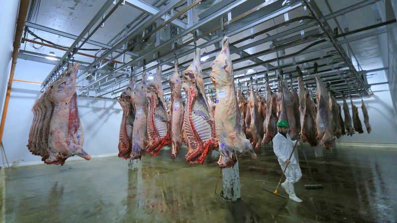 Los frigoríficos destacan el incremento que se está registrando en el precio del kilo vivo de la hacienda.