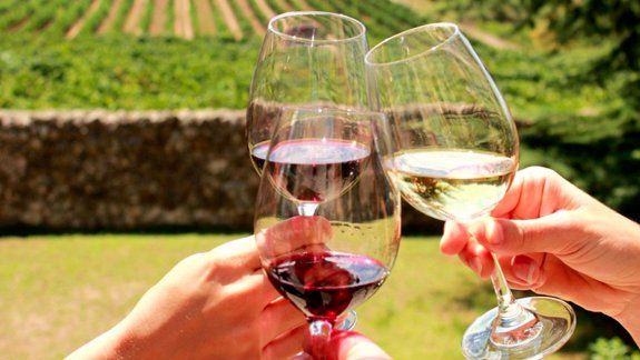 Radiografía del turismo del vino: un negocio en alza