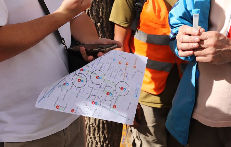 Mosquito del dengue: un operativo especial recorre Cipolletti