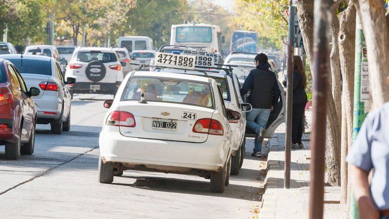 La vecina ciudad tendría una regulación muy similar a la cipoleña.