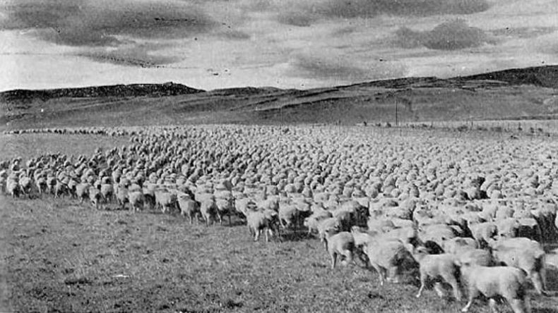 Crónica del imperio más austral de la Patagonia: auge y caída de la Explotadora | LMCipolletti.com Crónica del imperio más austral de la Patagonia: auge y caída de la Explotadora