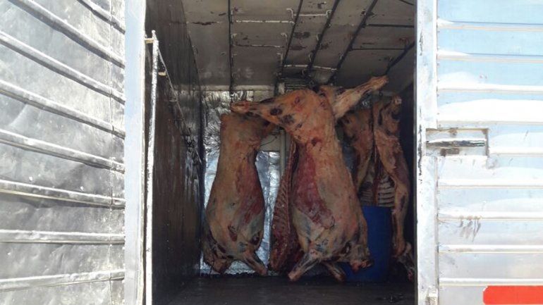 Decomisaron más de media tonelada de carne vacuna en la Ruta 22