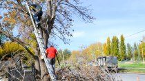 tiene 75, lo operaron a corazon abierto y es el primer trabajador: el talador de arboles que regala lena a los que mas lo necesitan