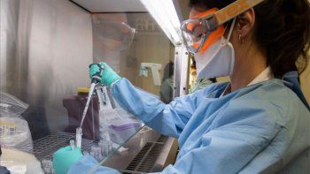 coronavirus: confirman seis nuevos casos y ya son 8 en todo el pais coronavirus: confirman seis nuevos casos y ya son 8 en todo el pais