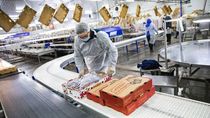 La Provincia lanzó créditos para pymes y empresas que quieran darle valor agregado a su producción.