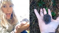 La influencer mostró el momento en redes sociales y generó polémica. Foto: Gentileza.