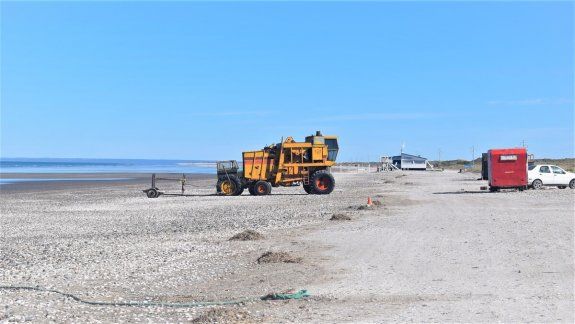 Qué hace una cosechadora de trigo en medio de una playa rionegrina