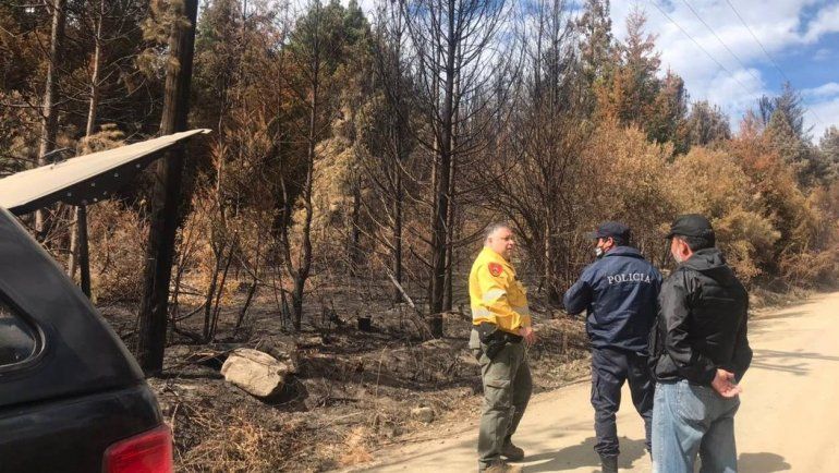 Peritos de la Policía Federal intentarán determinar cómo comenzó el incendio que arrasó la Comarca Andina.