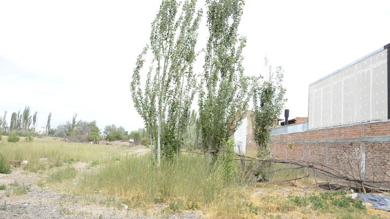 Los barrios Distrito Vecinal, San Jorge, Manzanar y zonas céntricas son los puntos más identificados. Los barrios Distrito Vecinal, San Jorge, Manzanar y zonas céntricas son los puntos más identificados.