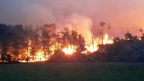 alerta en la patagonia: 5000 hectareas de bosque arden en tierra del fuego