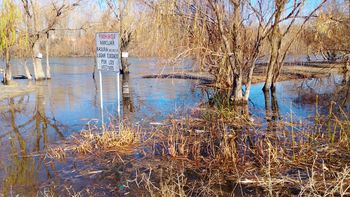 A escasos metros de la casa de Alicia, el río corre, a veces más cerca y otras más lejos.