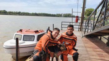 rescataron a un perro atrapado abajo de un muelle en viedma rescataron a un perro atrapado abajo de un muelle en viedma