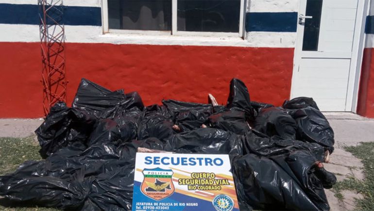 Decomisaron corderos que eran llevados desde Buenos Aires a Río Colorado