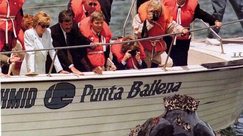 Murió el argentino que rompió el protocolo y llevó a Lady Di a ver las ballenas de la Patagonia. | LMCipolletti.com Murió el argentino que rompió el protocolo y llevó a Lady Di a ver las ballenas de la Patagonia.