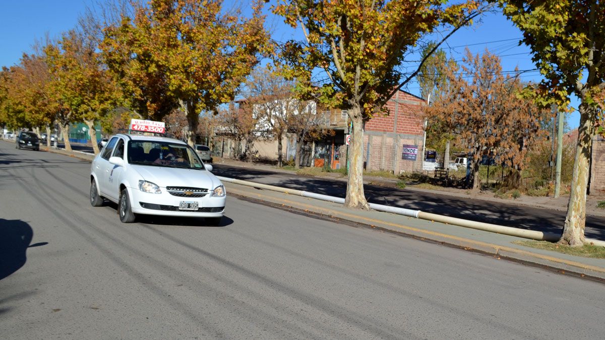 Por un año más, cerca de 29 titulares de transportes públicos de pasajeros podrán seguir trabajando con sus unidades vencidas.