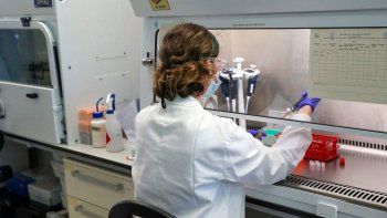 el gobierno autoriza una vacuna india contra el coronavirus