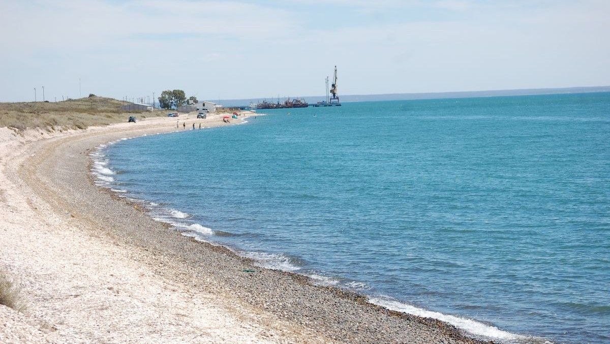 En playas de Puerto San Antonio Este aparecieron decenas de aves muertas. Hay mucha preocupación e interviene el SENASA.&nbsp;