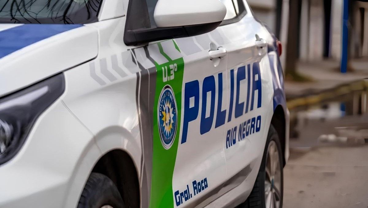 El violento atacó con un destornillador a dos policías.