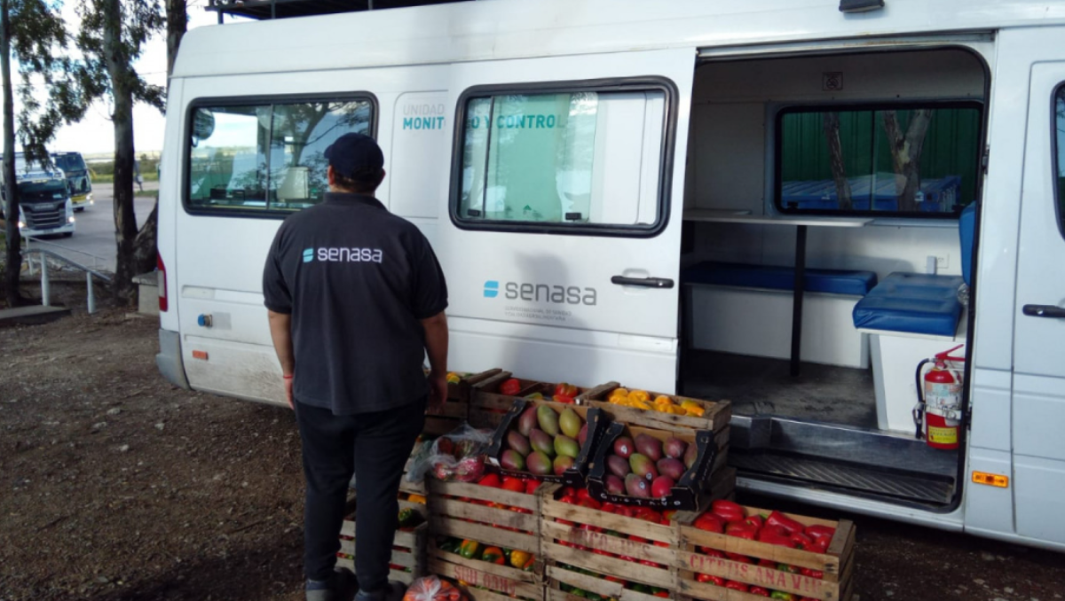 El SENASA decomisó 85 toneladas de alimentos que no podían ingresar a la Patagonia.