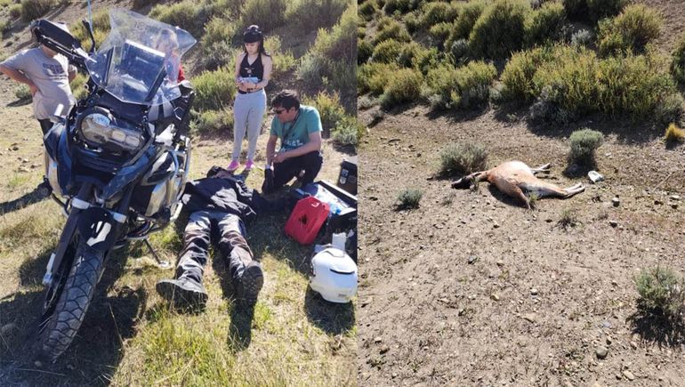 El turista brasiñelo cayó de a moto tras impactar contra el guanaco. El animal murió.&nbsp;