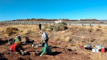 el chocon: descubren fosiles de un dino de 99 millones de anos