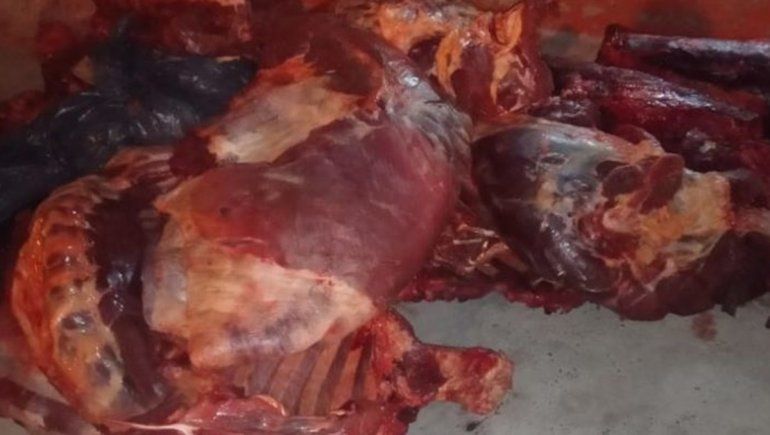 Lo atraparon transportando 400 kilos de carne de manera irregular