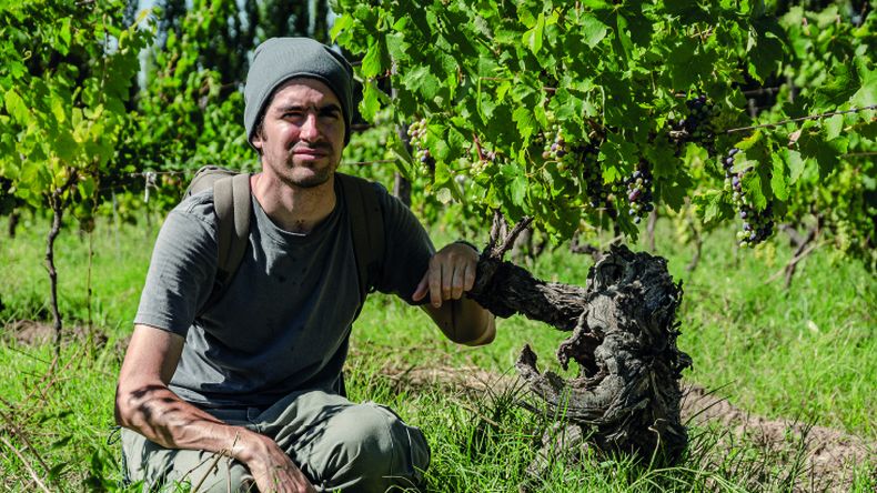 Guillermo, inmerso en viñedos de la Patagonia. Foto: gentileza