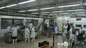 Práctica profesional: Estudiantes de la UNRN realizan ensayos de elaboración en la planta piloto de Villa Regina. | LMCipolletti.com Práctica profesional: Estudiantes de la UNRN realizan ensayos de elaboración en la planta piloto de Villa Regina.