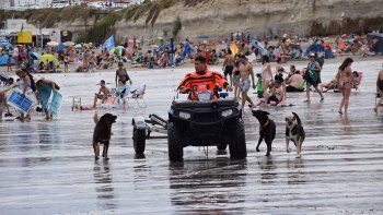 Los perros tienen playa propia, pero aún hay conflicto en Las Grutas.