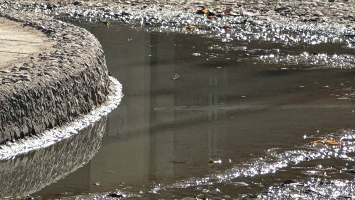 Multas millonarias a quienes arrojan agua sucia a la calle