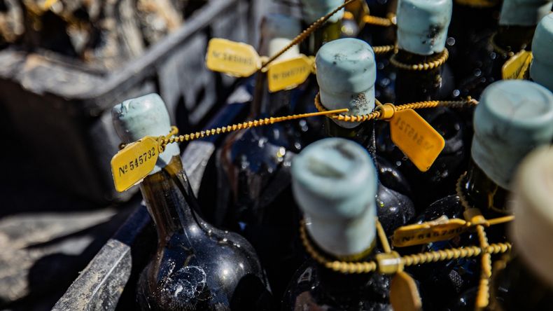 Premiurización: Las botellas sumergidas pueden multiplicar hasta por cinco su valor de mercado. | LMCipolletti.com Premiurización: Las botellas sumergidas pueden multiplicar hasta por cinco su valor de mercado.