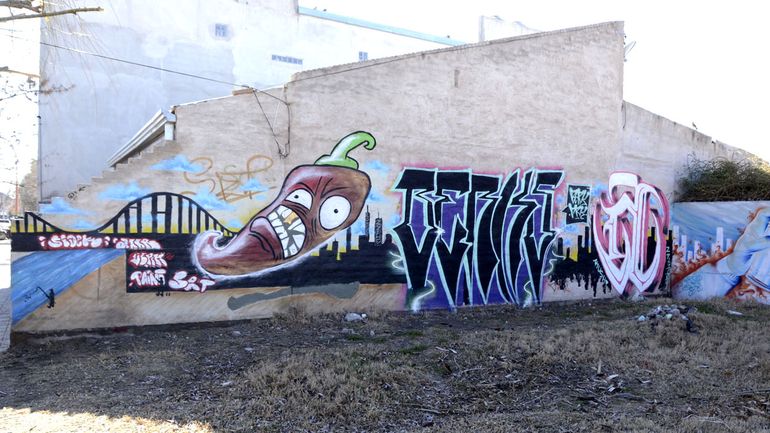 Todo el color y la majestuosidad en las pinturas que alegraron a un barrio. Todo el color y la majestuosidad en las pinturas que alegraron a un barrio.