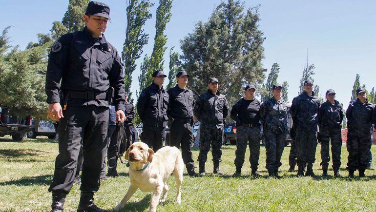 Entrenan a perros antinarcóticos de toda la Patagonia