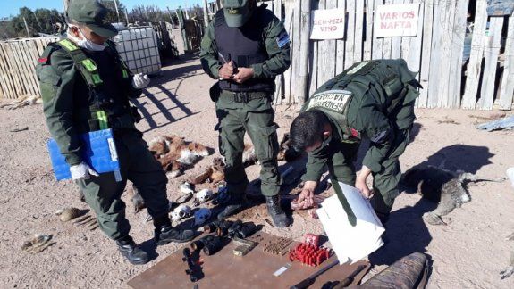Realizaron gran allanamiento tras una denuncia por caza furtiva 