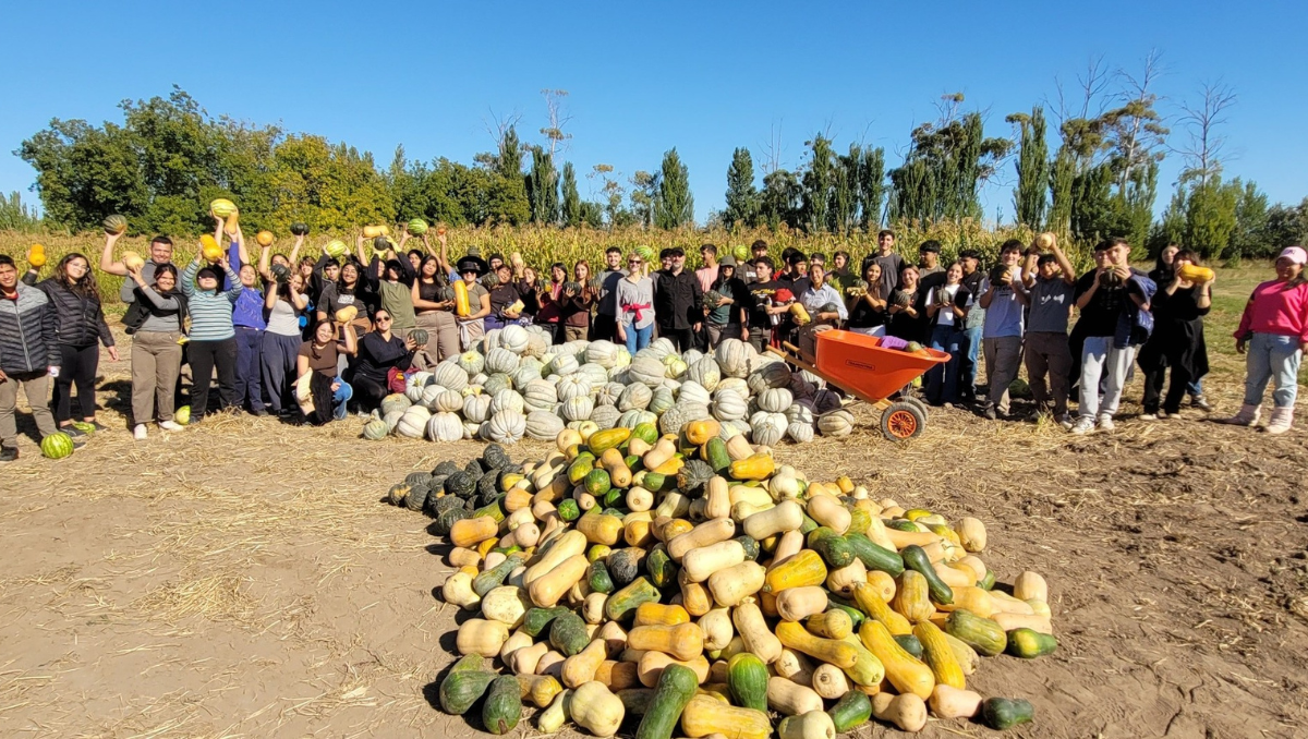 La Facultad de Ciencias Agrarias de la UNCO llevó adelante la primera cosecha del año. (Foto: gentileza)