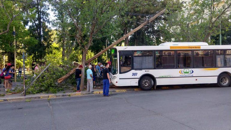 Colectivero se descompensó al volante y no provocó una tragedia de milagro