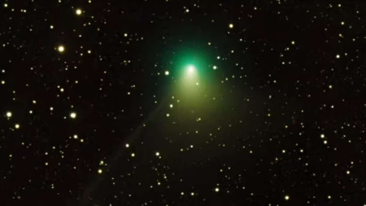 Cometa verde en Argentina: ¿Hasta cuándo podrá observarse?