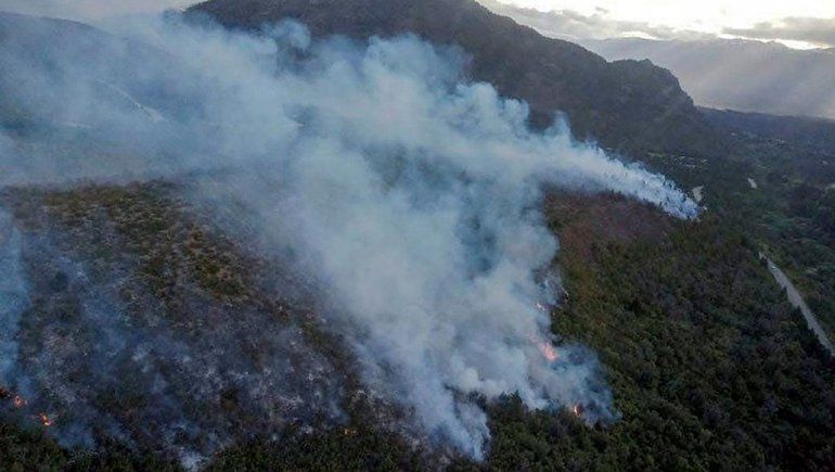 Proponen penas más duras para quienes originen incendios forestales 