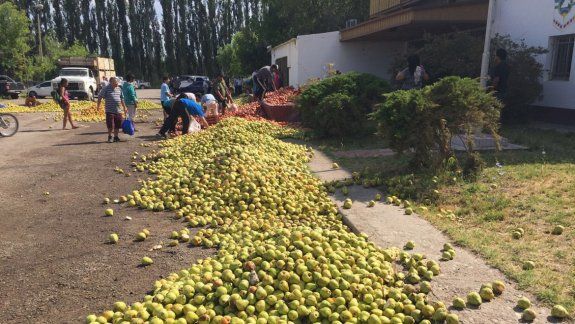 Los productores volvieron a tirar peras y manzanas