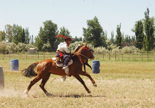 Jornada en el campo