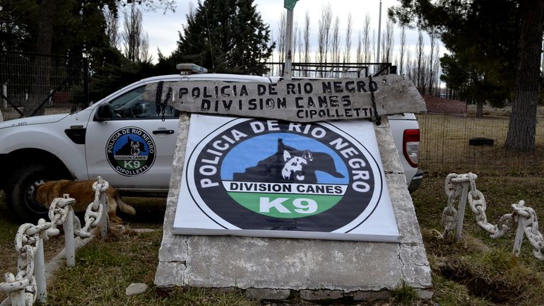 La División Canes de Cipolletti sumó dos nuevos ejemplares a sus filas. 