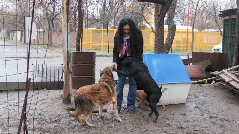 Laura Fuentes protege perros abandonados desde hace 5 años. Los atiende hasta que se curan y son adoptados.