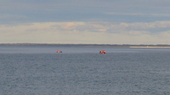 La pleamar liberó la ballena encallada en San Antonio