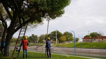 edersa hara cortes de energia en cipolletti y otras tres ciudades