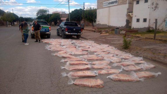 Decomisaron más de 90 costillares que eran transportados de manera ilegal