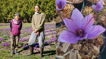 Amelia y Toshifumi, el alma de la chacra de flores Rhody Garden.