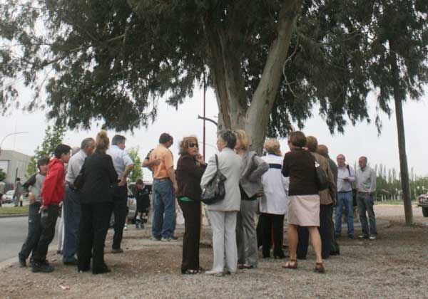 Inauguraron el cerco protector del eucalipto