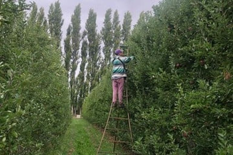 Productores preocupados por los nuevos impuestos que quiere implantar el Gobierno.