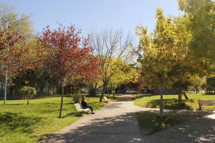 El otoño llegó a Cipolletti y coloreó la ciudad de amarillo