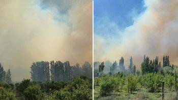 La columna de humo del incendio de Cinco Saltos se pudo observar desde varios kilómetros. Fotos gentileza Seny Radio.